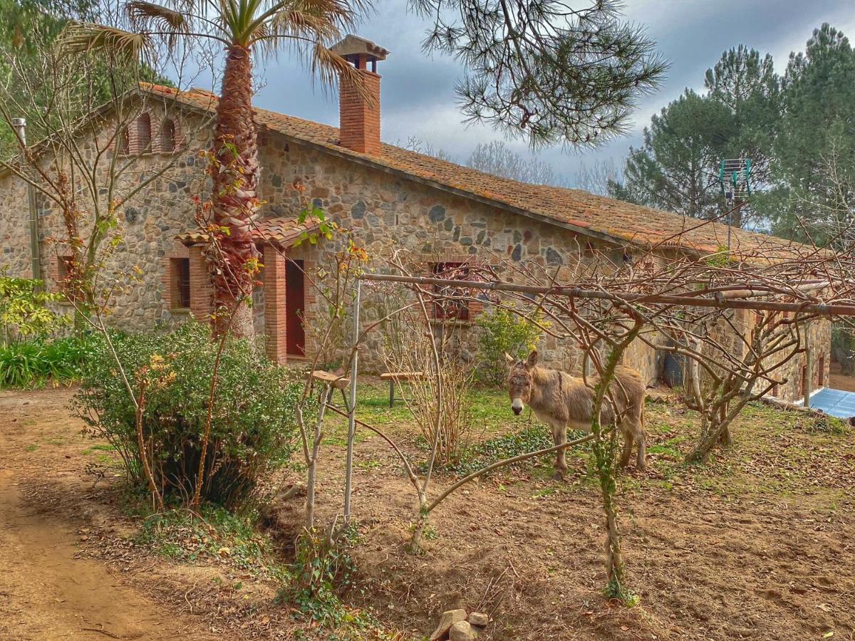 Masia Can Janet Arbúcies Extérieur photo